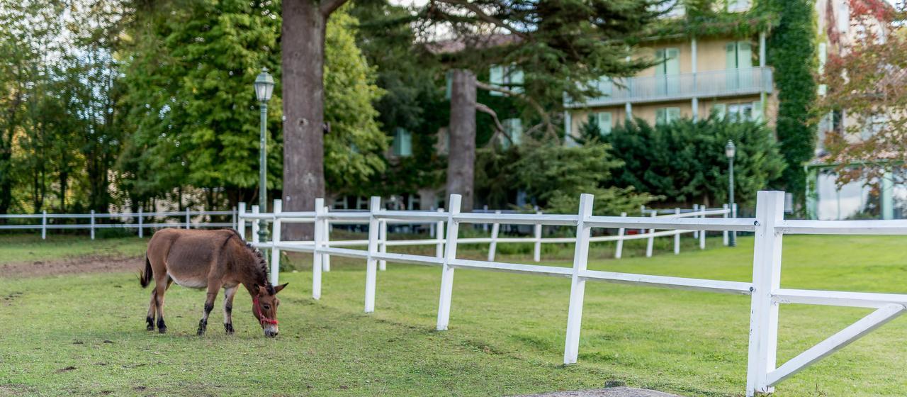 Logis Hotels- Hotel Et Restaurant Domaine De Fompeyre バザス エクステリア 写真